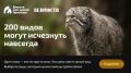 �����, ������� ����, ����������� ���������, ������ � ������ �������� � ��������, ������� ����� ��������� � ����������, ����� � ���-200 ����� �������� ������������� �����