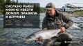 Как вывезти рыбу из Архангельской области: важные правила и советы