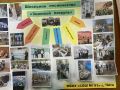 Краевой слёт школьных лесничеств продолжается на базе детского лагеря "Никишиха"