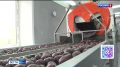 Сельхозкооперативам Забайкалья предоставят 64 миллиона рублей