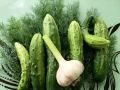 Летние хиты: как готовить огурцы, укроп и чеснок для идеальных закусок