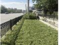 Более 39 тысяч квадратных метров травы было скошено на минувшей неделе в краевом центре