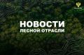 ТАСС: Патрушев поддержал меры по снижению нагрузки на лесную промышленность