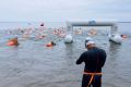 ������������ ��������� ������ �� �������� �������� � ��������� ZabSwimFest ������� �� �������