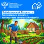 Забайкальский Росреестр: Как правильно использовать и освоить земельный участок?