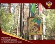 При подготовке ребёнка к поездке в лагерь заранее соберите: