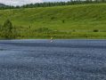 Водохранилище на ручье Застепинский в Чите восстановят за счёт краевой субсидии