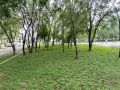 ��������� ������: ����� � ��������� ������ �������� ����� �������� �����