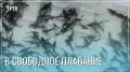 ������������� �������� ������ ���������� ��������� �������