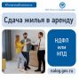 Сегодня в рубрике #ПятничнаяПолезность мы расскажем, как оплатить налог, если вы сдаете квартиру в аренду