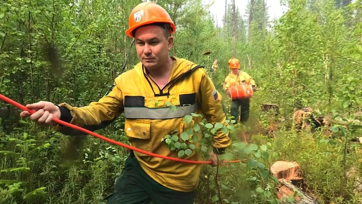 За неделю, с 6 по 12 июля 2026 г., Авиалесоохрана и наземные лесные службы ликвидировали 398 лесных пожаров в 32 регионах России За неделю, с 6 по 12 июля 2026 г., Авиалесоохрана и наземные лесные службы ликвидировали 398 лесных пожаров в 32 регионах России