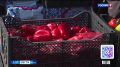 За полгода в Забайкальском крае прошло 749 ярмарок