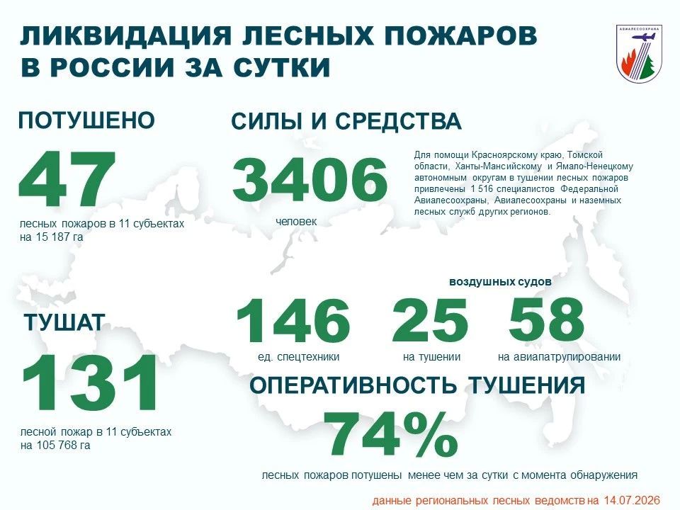 За прошедшие сутки в России потушено 47 лесных пожаров в 11 регионах