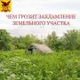 Захламление – ключевой признак неиспользуемого земельного участка
