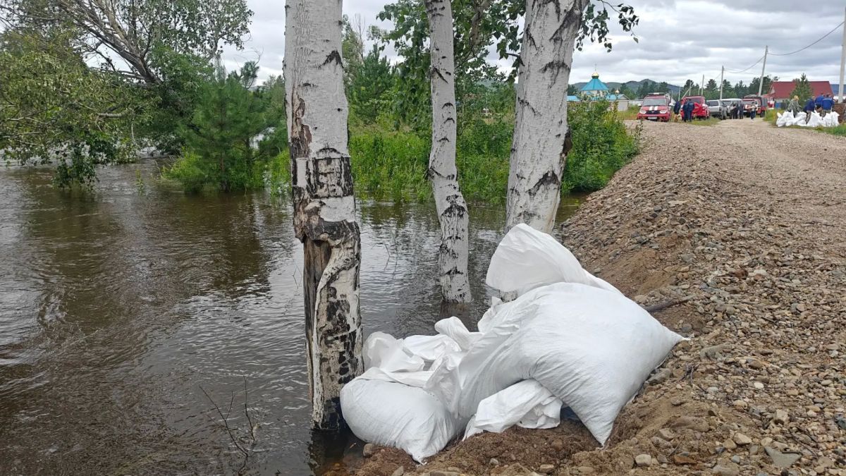 Пик паводка проходит в СНТ «Шишкино остров» Пик паводка проходит в СНТ «Шишкино остров»