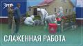 В Забайкалье погасили условный очаг африканской чумы свиней