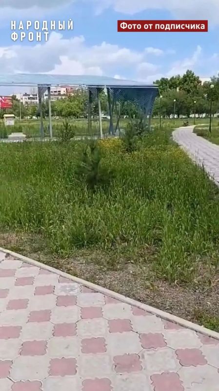 Обновлённый за 122 млн рублей «Урановый парк» в Краснокаменске пришёл в упадок Обновлённый за 122 млн рублей «Урановый парк» в Краснокаменске пришёл в упадок