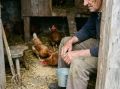 Пенсионерам на заметку: 10 ошибок, которых стоит избегать в деревне