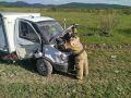 В Забайкалье за минувшие сутки:
