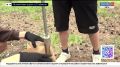 «Горная школа» для забайкальских школьников распахнула двери во время летних каникул