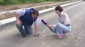 Сразу 5 улиц одновременно меняют свой облик в Чите благодаря национальному проекту «Инфраструктура для жизни»