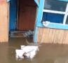 Потоп в селе Багульное в Забайкалье попал на видео