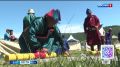 Показ мод в бурятских костюмах на степном «подиуме» проведут во время фестиваля «Хорхог