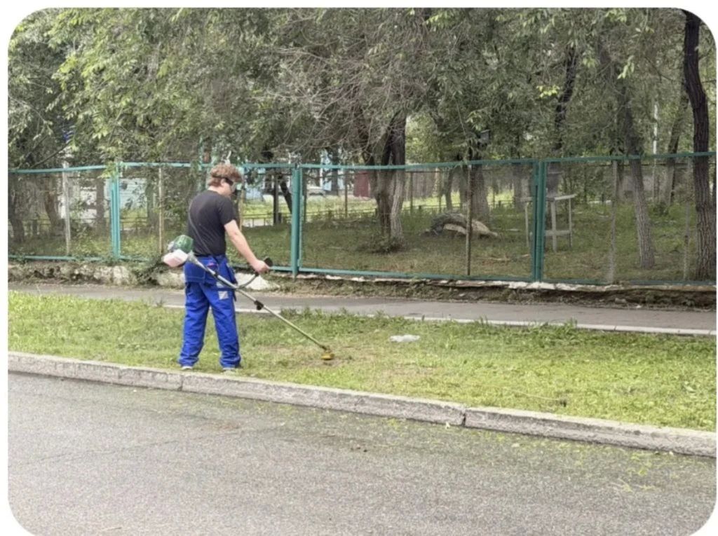 В Чите за лето скосили траву на площади более 57 футбольных полей
