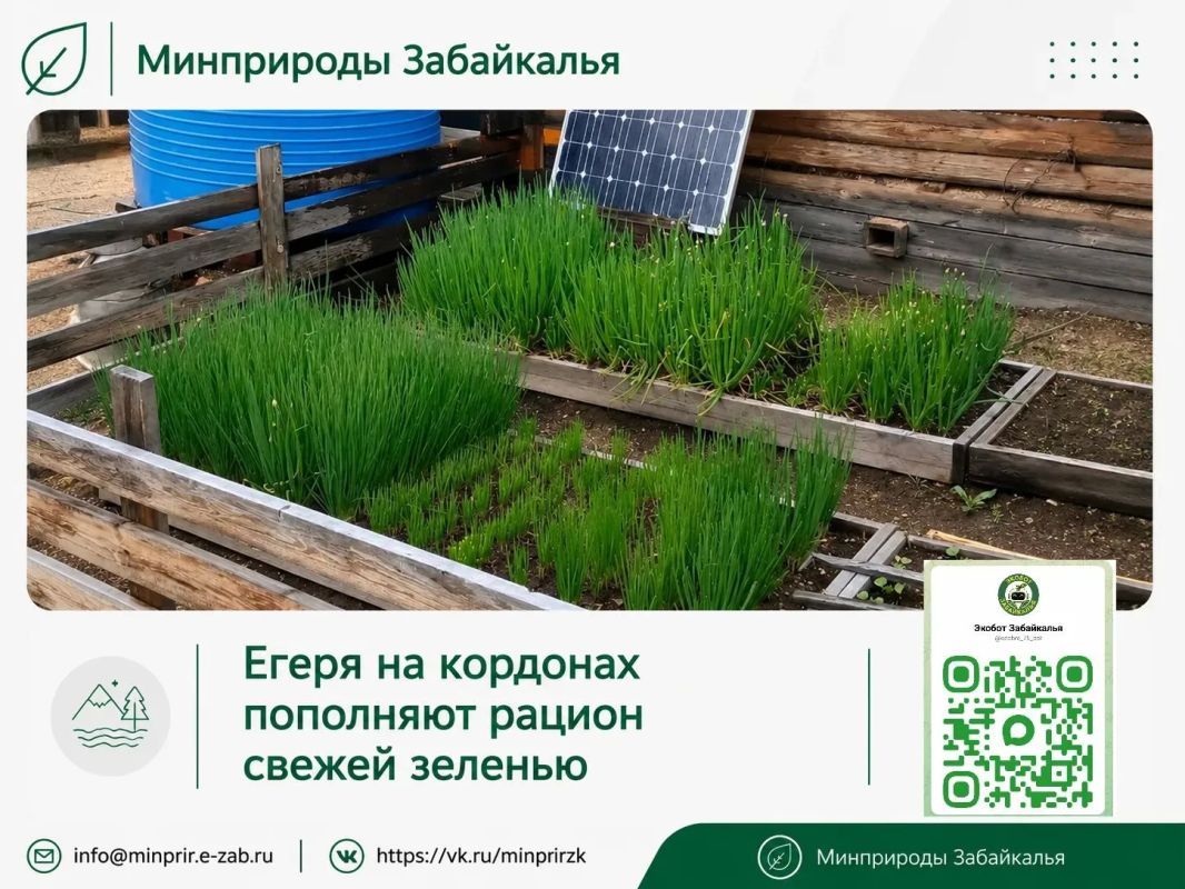 #ЗабайкальеЗаповедное. Маленький огород среди тайги — большая помощь в жизни на кордоне
