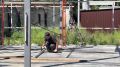 Практика в условиях, приближенных к реальному производству