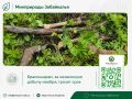 #оперативка. В ходе совместного рейда сотрудников ГКУ «Дирекция ООПТ» и Пограничного управления ФСБ России по Забайкальскому краю выявлен факт незаконной охоты в заказнике «Среднеаргунский»