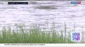 На большинстве рек Забайкалья зафиксирован подъём воды