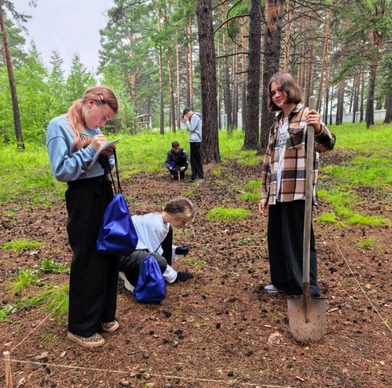 В Забайкалье стартовала профильная смена «Геохимическая лаборатория» В Забайкалье стартовала профильная смена «Геохимическая лаборатория»