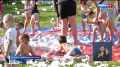 � ��������-������������� ������ � ������ "���������" ������ �������� ���������� ���