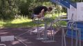 � ���� �������� ����� ���������, ��� ������������ �������� ����������� �� �������� �������� � ���������� � ������� �����