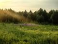 Доброе утро, забайкальцы. Хорошего выходного дня Фото: канал МАХ «По диким степям»