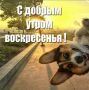 ������ ����, �������!. ������ ���� �������� � ������� ����������� ���! ��������� �������� � �������!