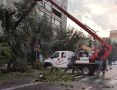 Упавшее на электропровода дерево на улице Бутина в Чите демонтировали
