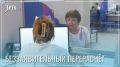Пенсии более 51 тысячи забайкальцев выросли с 1 августа