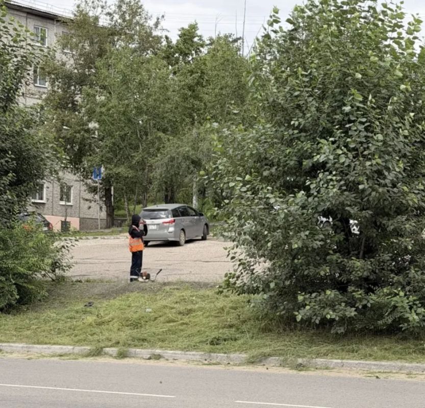 104250 квадратных метров травы было скошено на минувшей неделе в краевом центре