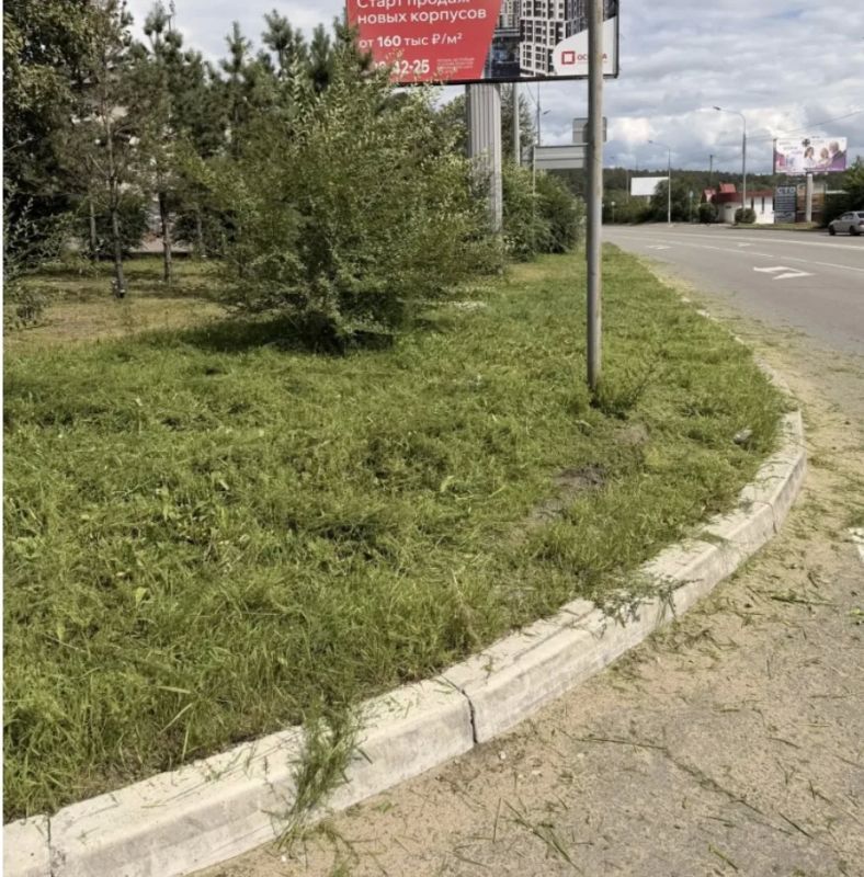 104250 квадратных метров травы было скошено на минувшей неделе в краевом центре 104250 квадратных метров травы было скошено на минувшей неделе в краевом центре