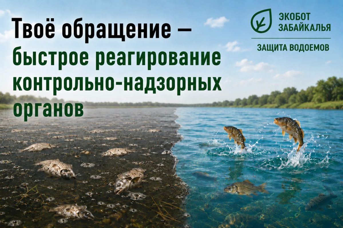 #ЭкоДело. Экобот Забайкалья — сообщить об экологической проблеме просто! Перейди в чат-бот: #ЭкоДело. Экобот Забайкалья — сообщить об экологической проблеме просто! Перейди в чат-бот: