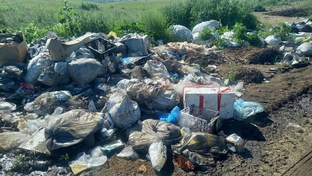 #Эконадзор. Жители сообщили — экологи приехали: что показали обследования Региональный экологический надзор выехал на места по обращениям жителей #Эконадзор. Жители сообщили — экологи приехали: что показали обследования Региональный экологический надзор выехал на места по обращениям жителей