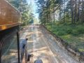 Автобус до станции Лесная запустили после перерыва в Читинском округе