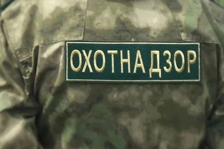 #Охотуправление. В период с 30 июля по 5 августа государственные инспекторы Охотуправления провели рейдовые мероприятия в общедоступных охотничьих угодьях Забайкальского края