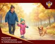 Безопасность детства: Будь осторожнее с незнакомыми животными!