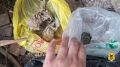 Операция «МАК-2026»: полицейские изъяли почти 40 килограммов наркотиков