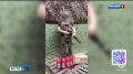 ����� ��� ������������� ����������� ��� ���������� �� ���������� ������������