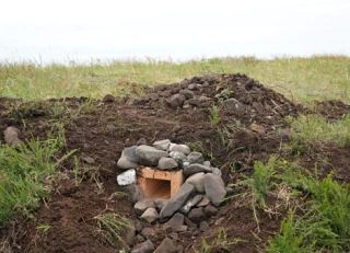 Улыбнитесь, вас снимают: в Даурском заповеднике установили дополнительные фотоловушки для наблюдения за манулами Улыбнитесь, вас снимают: в Даурском заповеднике установили дополнительные фотоловушки для наблюдения за манулами