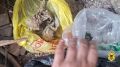 Около 40 килограммов наркотиков изъяли полицейские в Забайкалье